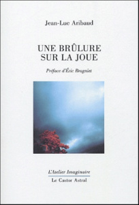 Une brûlure sur la joue - Aribaud Jean-Luc ; Brogniet Eric