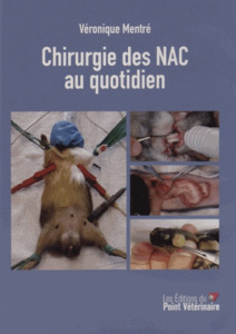 Chirurgie des NAC au quotidien. 1 DVD - Mentré Véronique