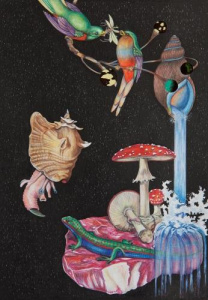 Wonderama - Reip Hugues ; Burger Rodolphe ; Despret Vinciane