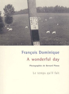 A wonderful day - Dominique François ; Plossu Bernard
