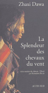 La splendeur des chevaux du vent - DAWA ZHAXI