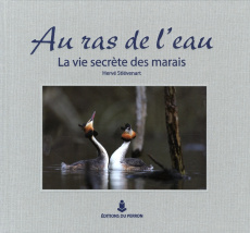 Au ras de l'eau. La vie secrète des marais - Stiévenart Hervé