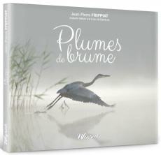 Plumes de brume - instants nature sur le lac de bambois - Frippiat J-p