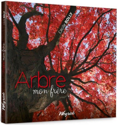 Arbre mon frere - Bolly C