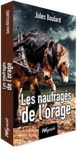 Les naufragés de l'orage - Boulard Jules