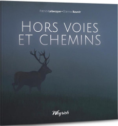 Hors voies et chemins - Lebecque Patrick ; Bauvir Etienne