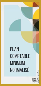 PLAN COMPTABLE MINIMUM NORMALISE - COLLECTIF