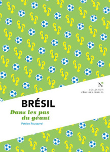 Brésil. Dans les pas du géant - Montagu-Williams Patrice