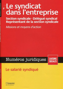 Numéros juridiques Septembre 2013 : Le syndicat dans l'entreprise - Andréo Emmanuel ; François Gwennhaël ; Lapalus Hug
