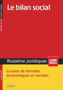 Numéros juridiques Janvier 2015 : Le bilan social - Limou Sandra ; Mourat Marie
