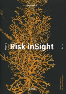 Risk inSight. Catalogue d'exposition sciences, arts et société, Edition bilingue français-anglais - November Valérie ; Gilbert Claude