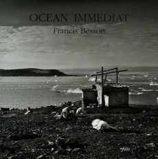 Océan immédiat. Edition bilingue français-anglais - Besson Francis ; Brandt Christophe