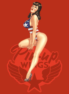 Pin-up Wings Intégrale : Coffret en 4 volumes. Avec une plaque de métal - Hugault Romain