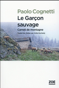 Le garçon sauvage. Carnet de montagne - Cognetti Paolo ; Raynaud Vincent ; Rochedy Anita