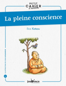 La pleine conscience - Kotsou Ilios ; Augagneur Jean