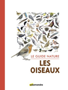 Les oiseaux - Inverno Mirko d' ; Giriens Sophie ; Horrenberger N