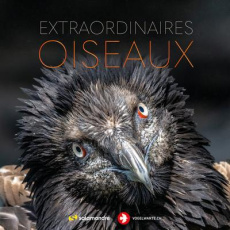 Extraordinaires oiseaux - Balança Erwan ; Baumeister Simone ; Born Olivier ;