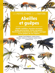 Abeilles et guêpes - Melbeck David ; Giriens Sophie ; Du Chatenet Gaëta