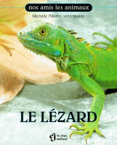 Le lézard - Pilotte Michèle
