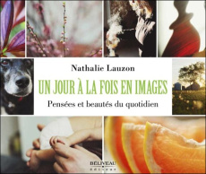 Un jour à la fois en images - Lauzon Nathalie