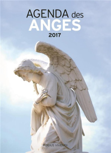 Agenda des anges 2017 - Alain Marc-G