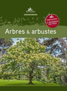 Arbres & arbustes