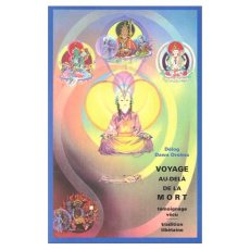 VOYAGE AU-DELA DE LA MORT. Témoignage vécu, tradition tibétaine - DROLMA DELOG DAWA