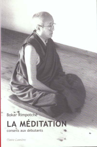 La méditation. Conseil aux débutants - Rimpoché Bokar