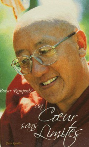Un coeur sans limites - RIMPOCHE BOKAR