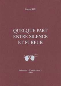 Quelque part entre silence et fureur - Allix Guy