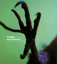 Images au Centre 05. Photographie, vidéo & patrimoine - Bourguedieu Christophe ; Trémorin Yves ; Mogarra J
