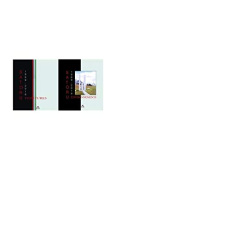 Satoru, peintures-environnements. 2 volumes - Xuriguera Gérard