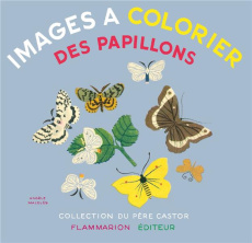 Des papillons - Malcles Angele
