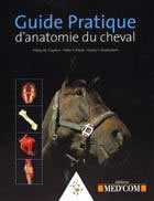 Guide pratique d'anatomie du cheval - Clayton Hilary Mary ; Flood Peter F. ; Rosenstein