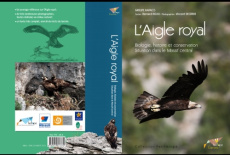 L'Aigle royal / Biologie, histoire et conservation, Situation dans le Massif central - Ricau Bernard, Decorde Vincent