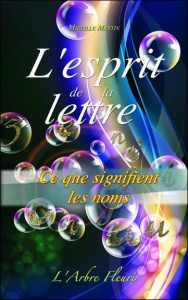 L'esprit de la lettre - Martin Mireille