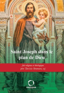 Saint Joseph dans le plan de Dieu. Fait religieux et Théologie - Stramare Tarcisio ; Boyer-Lemoine Dominique