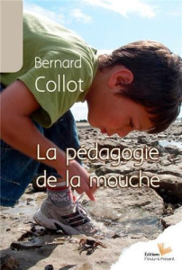La pédagogie de la mouche - Collot Bernard