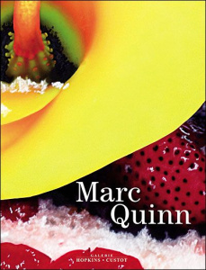 Marc Quinn. Edition bilingue français-anglais - Quinn Marc