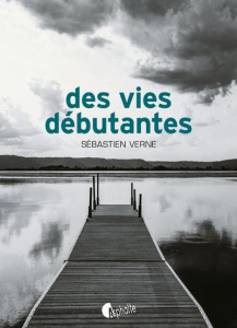 des vies débutantes - Verne Sebastien