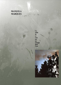 La taille de ce vent est un triangle dans l'eau - Marques Manuela