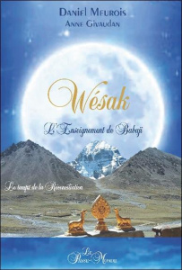 Wésak. Le temps de la réconciliation - L'enseignement de Babaji - Givaudan Anne ; Meurois Daniel