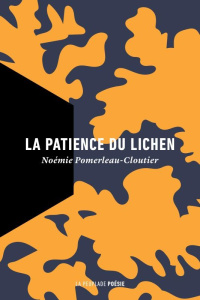 La patience du lichen - Pomerleau-Cloutier Noémie