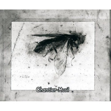 Chantier-Musil. D'après une lecture de "L'homme sans qualités" de Robert Musil - Verret François ; Fortemps Vincent