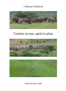 Couleur savane, apres la pluie - Catherine Godefroid