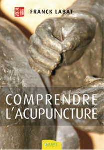 Comprendre l'acupuncture - Labat Franck