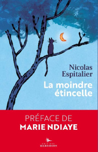 La moindre étincelle - Espitalier Nicolas ; NDiaye Marie