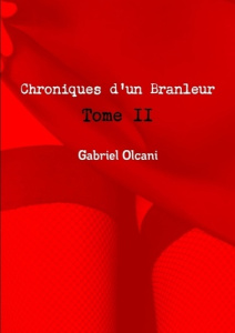 Chroniques D'Un Branleur Tome 2 - Olcani Gabriel