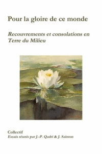 Pour la gloire de ce monde. Recouvrements et consolations en Terre du Milieu - Qadri Jean-Philippe