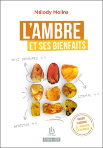 AMBRE ET SES BIENFAITS